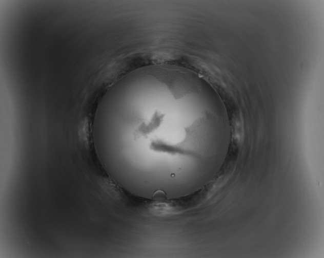 X0000100480519200806131232