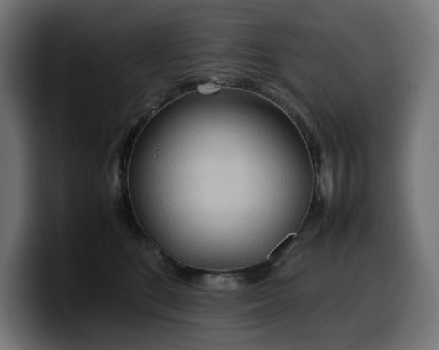 X0000100480520200806131232