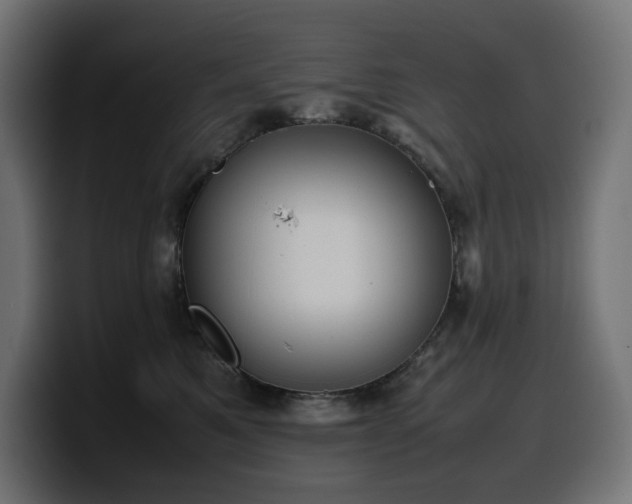 X0000100480521200806131232