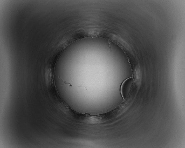 X0000100480522200806131232