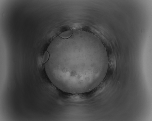 X0000100480523200806131232