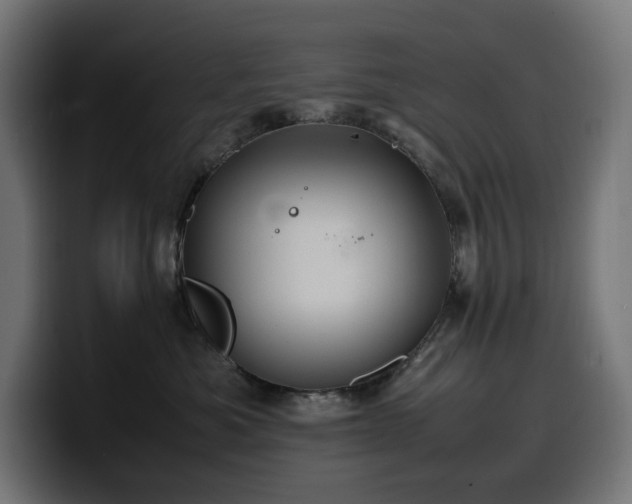 X0000100480525200806131232