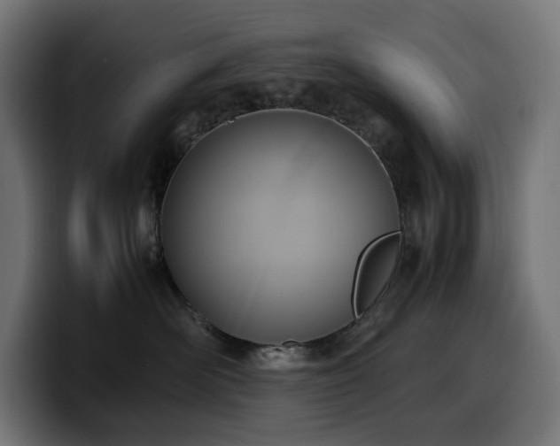 X0000100480526200806131232