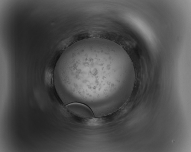 X0000100480527200806131232