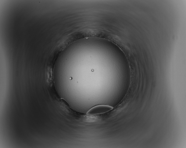 X0000100480528200806131232