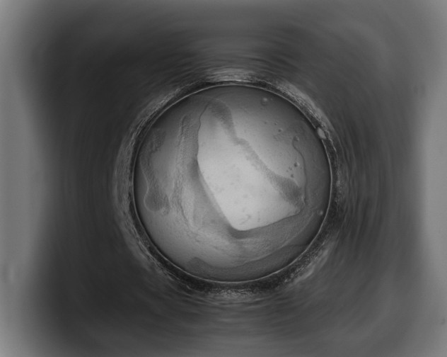 X0000100480529200806131232