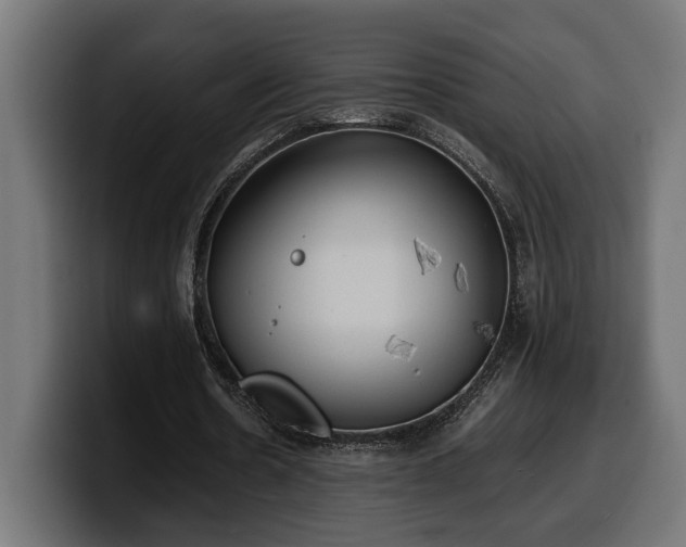 X0000100480530200806131232