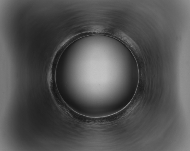 X0000100480532200806131232