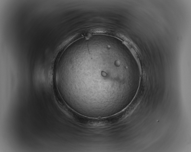 X0000100480533200806131232