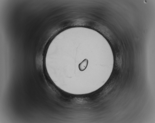 X0000100480534200806131232