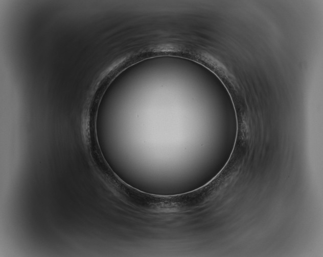 X0000100480535200806131232