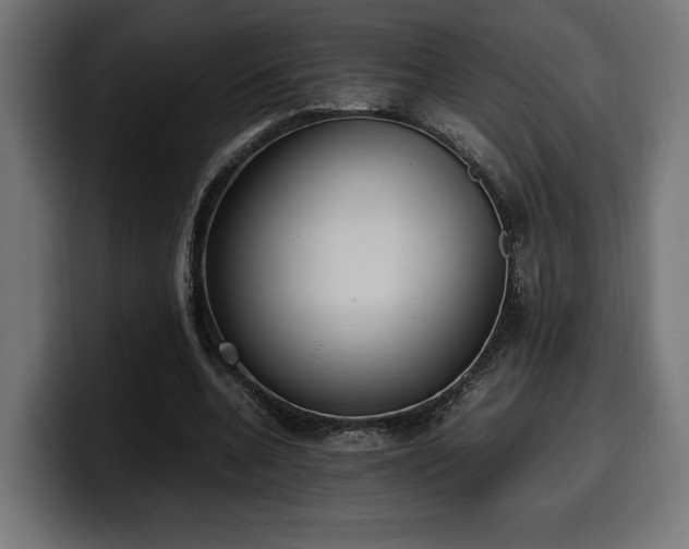 X0000100480536200806131232