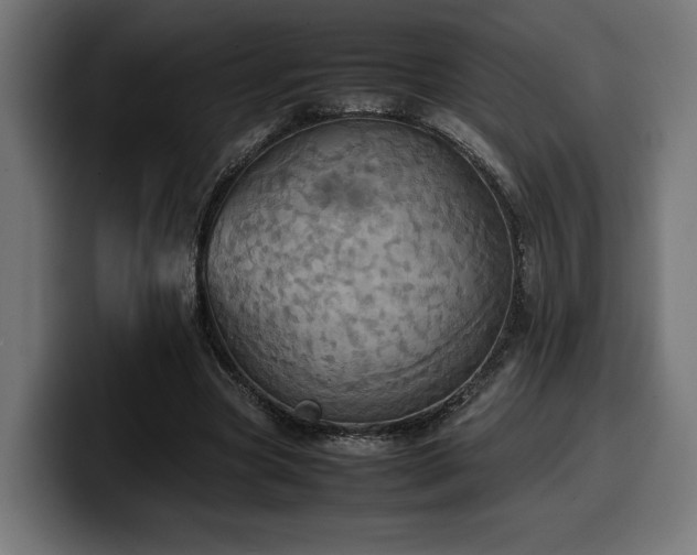 X0000100480537200806131232