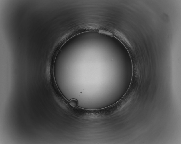 X0000100480538200806131232
