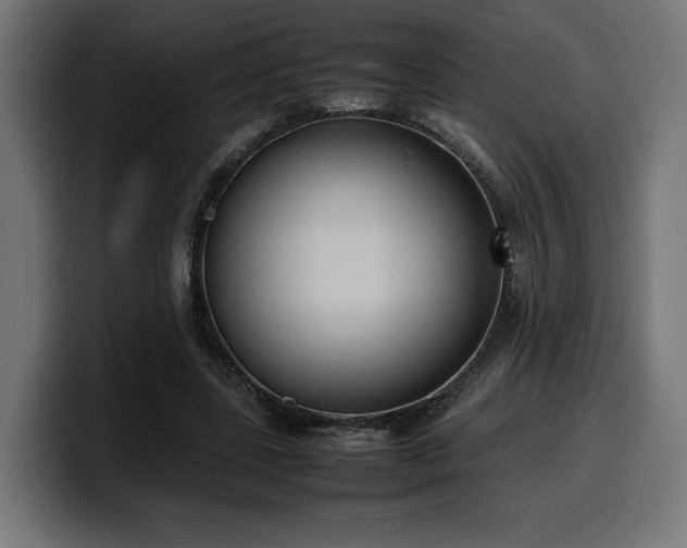 X0000100480539200806131232