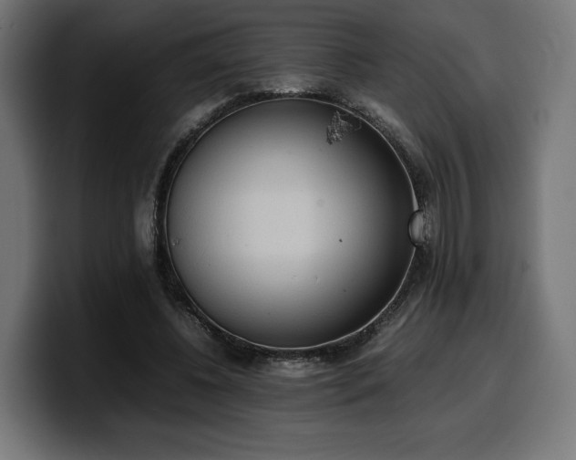 X0000100480540200806131232
