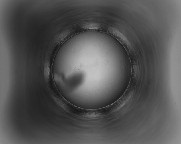 X0000100480541200806131232
