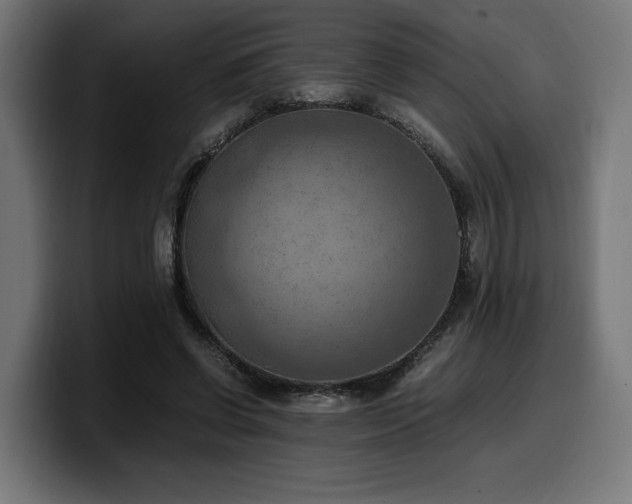 X0000100480542200806131232