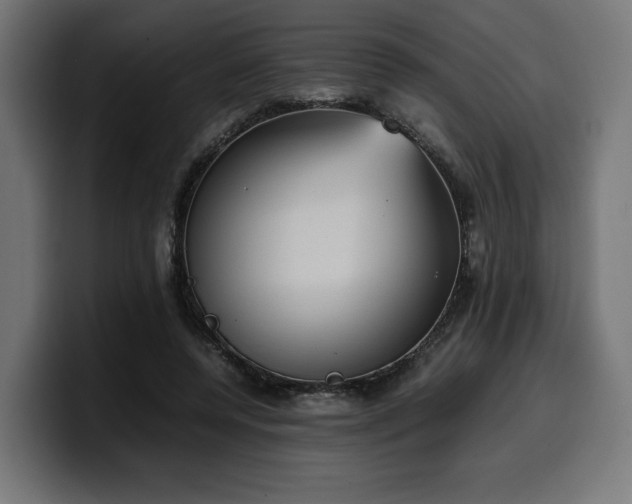 X0000100480544200806131232