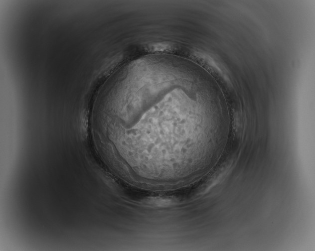 X0000100480545200806131232