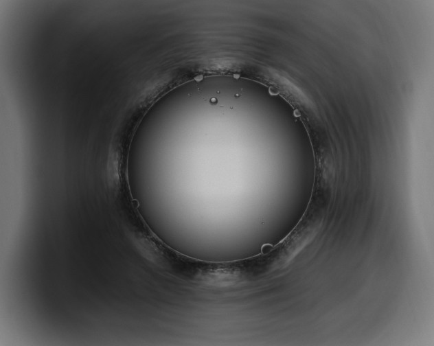 X0000100480546200806131232