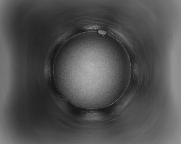 X0000100480547200806131232