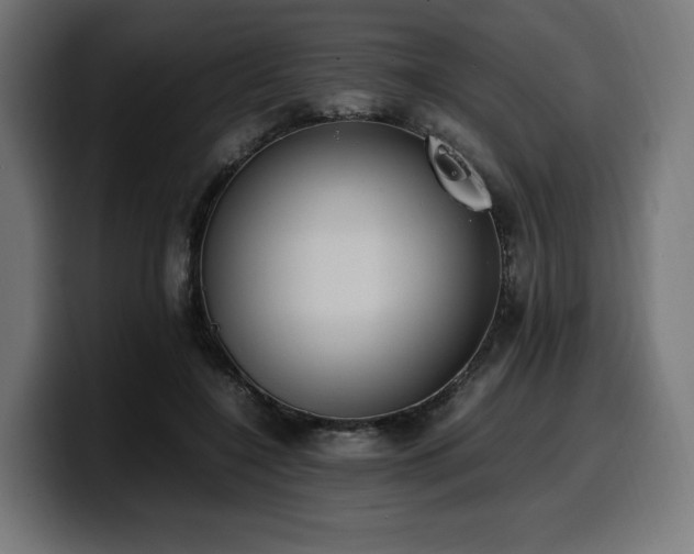 X0000100480548200806131232