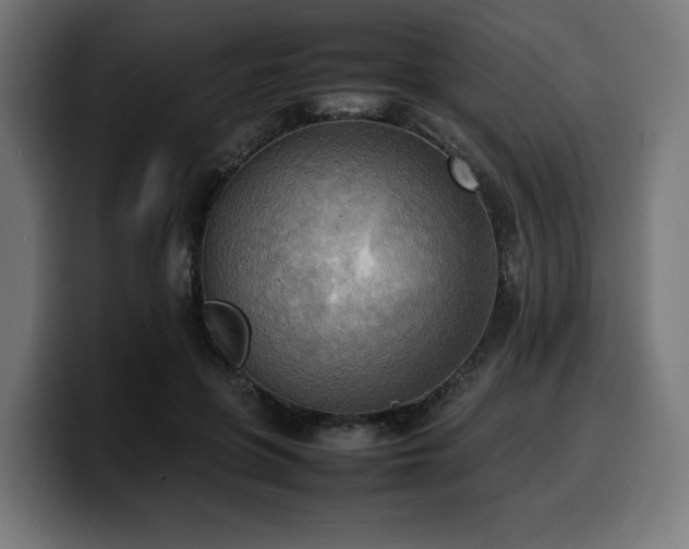X0000100480551200806131232