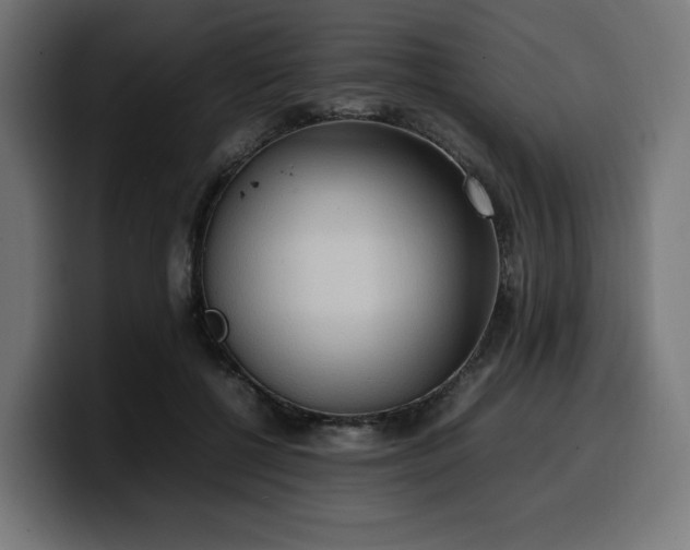 X0000100480552200806131232