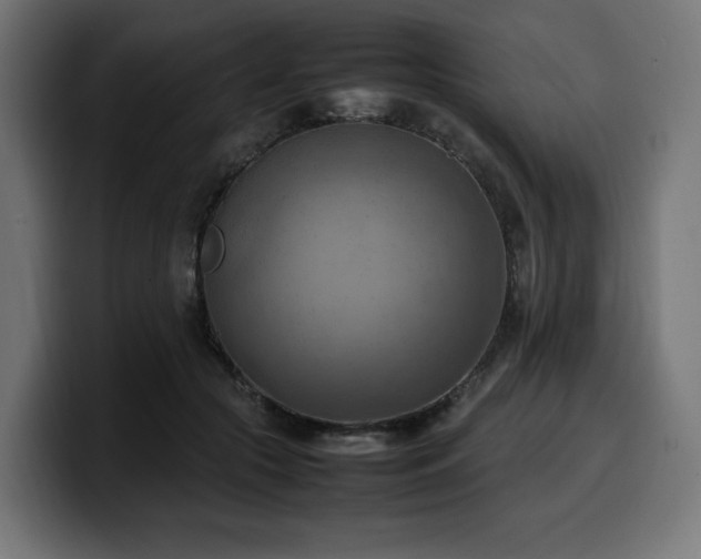 X0000100480553200806131232