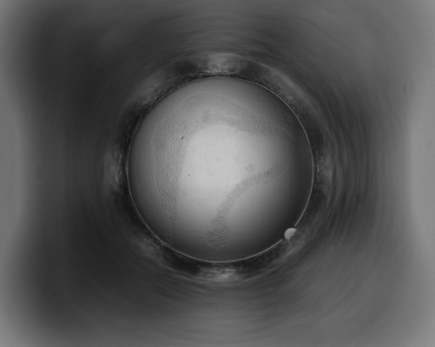 X0000100480554200806131232