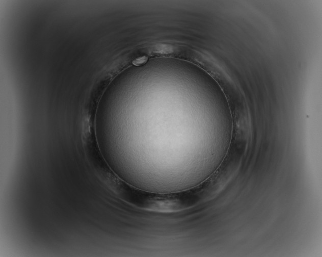 X0000100480555200806131232