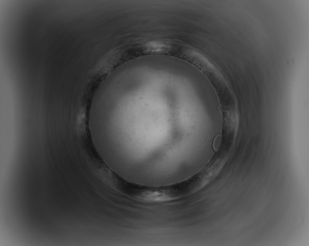 X0000100480557200806131232
