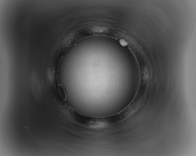 X0000100480559200806131232
