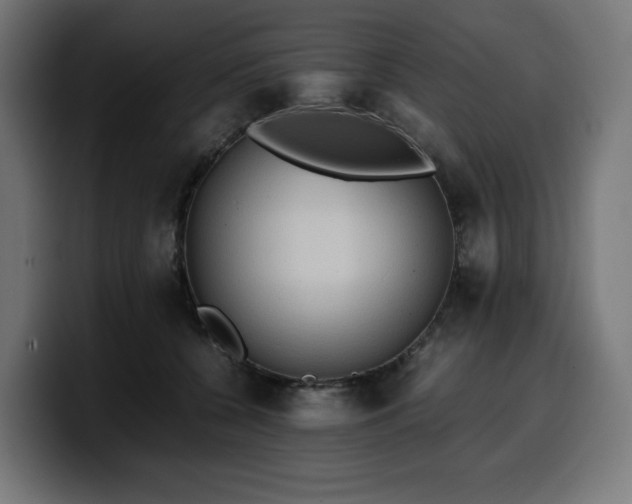 X0000100480560200806131232