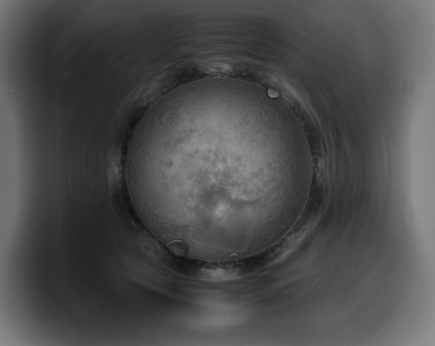 X0000100480561200806131232