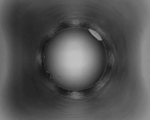 X0000100480562200806131232