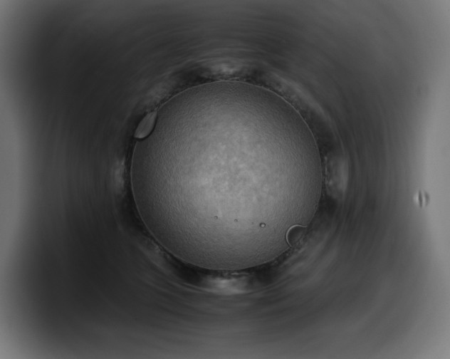 X0000100480563200806131232
