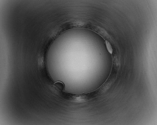 X0000100480564200806131232