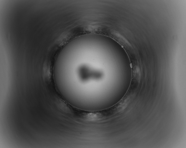 X0000100480566200806131232