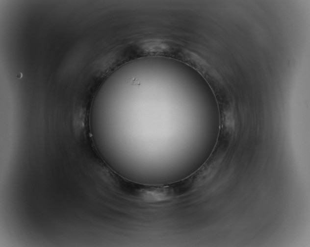 X0000100480567200806131232