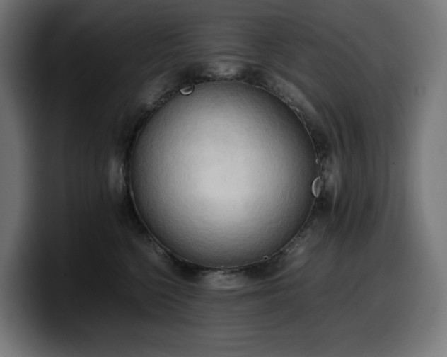 X0000100480568200806131232