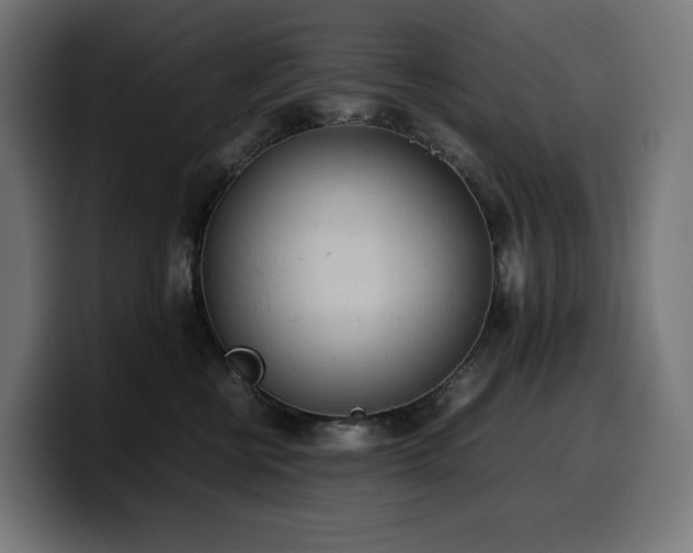 X0000100480570200806131232