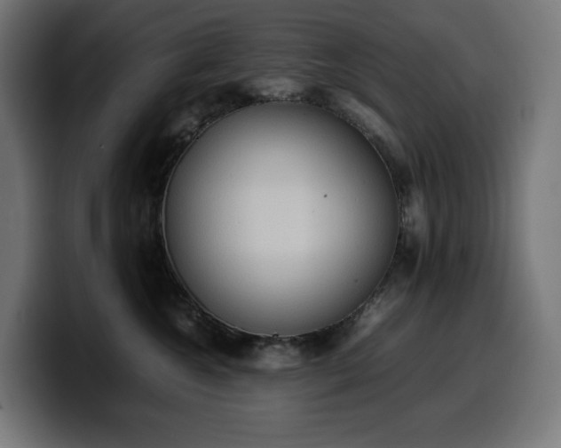 X0000100480572200806131232