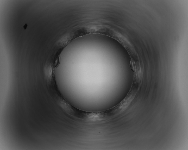 X0000100480574200806131232