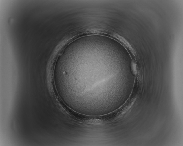 X0000100480577200806131232