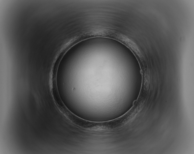 X0000100480578200806131232
