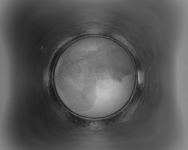 X0000100480579200806131232