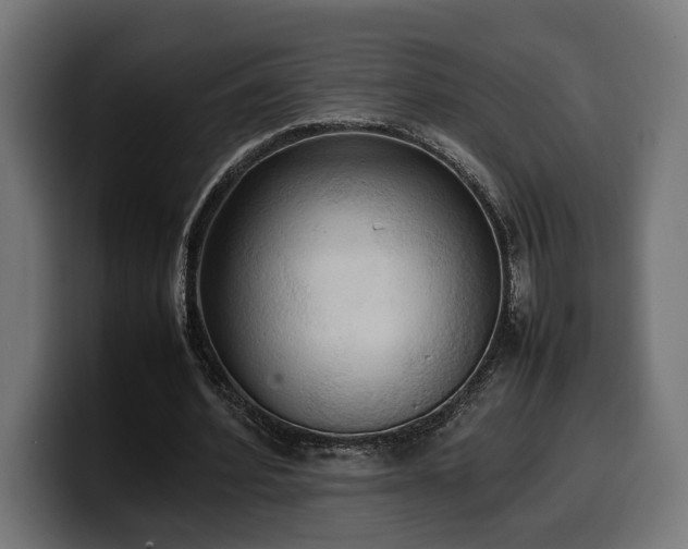 X0000100480580200806131232
