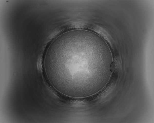 X0000100480581200806131232